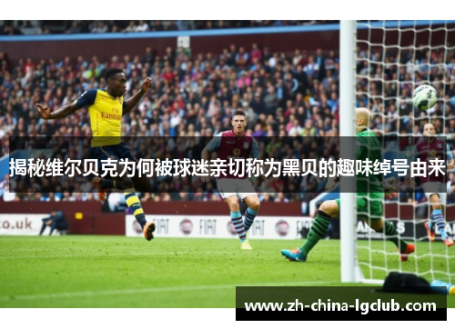 揭秘维尔贝克为何被球迷亲切称为黑贝的趣味绰号由来