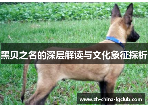 黑贝之名的深层解读与文化象征探析 黑贝之名的深层解读与文化象征探析