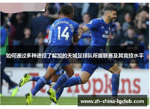 如何通过多种途径了解加的夫城足球队所属联赛及其竞技水平 如何通过多种途径了解加的夫城足球队所属联赛及其竞技水平