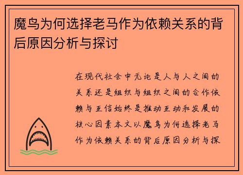 魔鸟为何选择老马作为依赖关系的背后原因分析与探讨